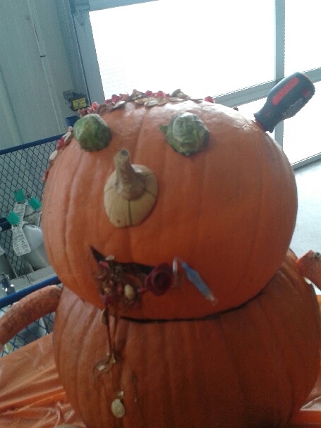 Rimbeys take on a Pumpkin Patient